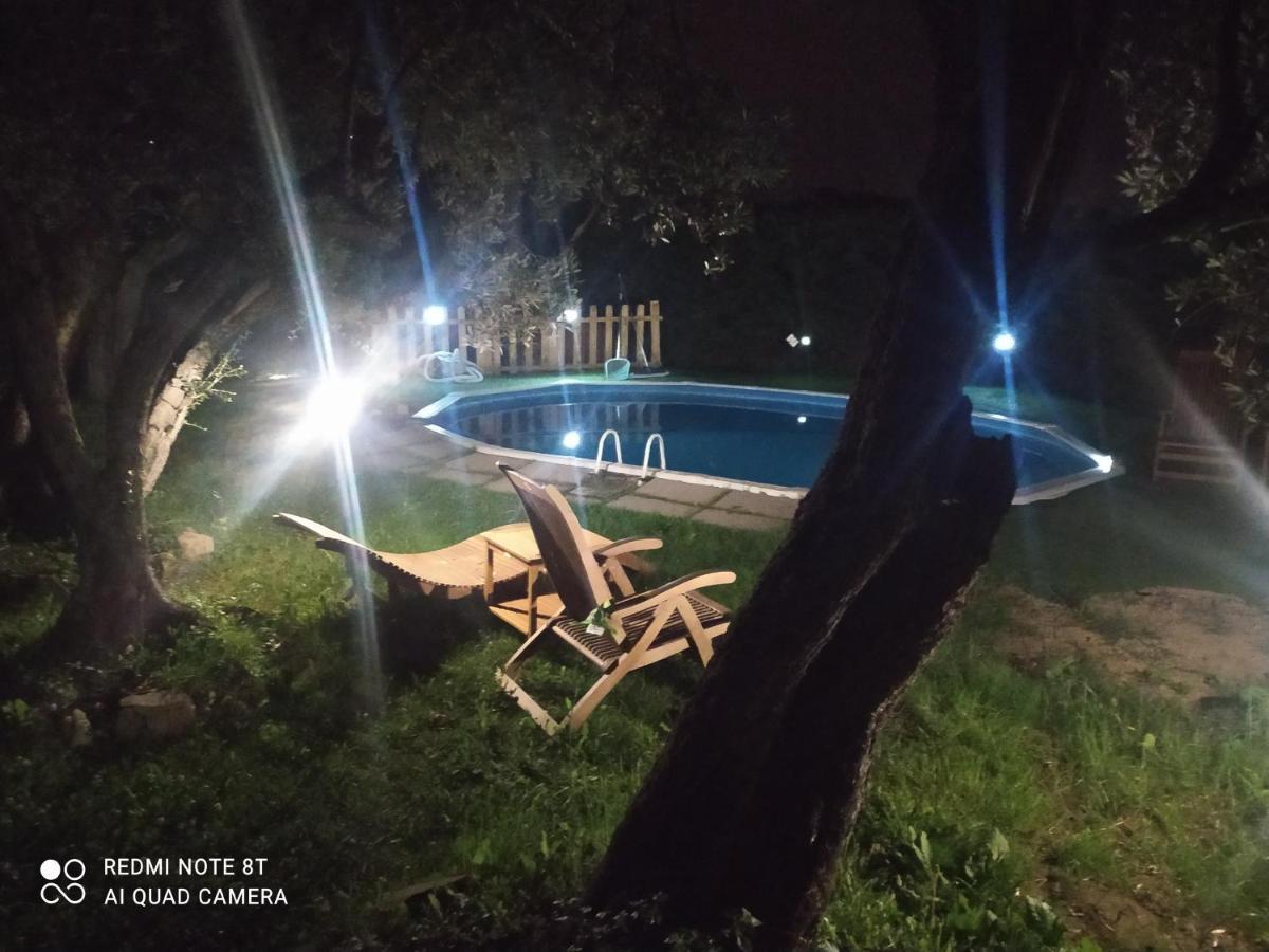 Il Borgo Dei Pini Apartamento Vinci Exterior foto