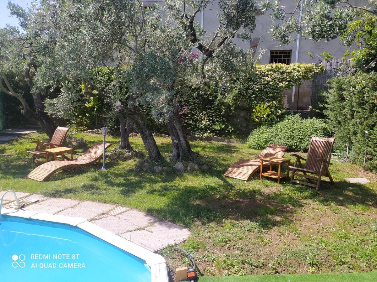 Il Borgo Dei Pini Apartamento Vinci Exterior foto