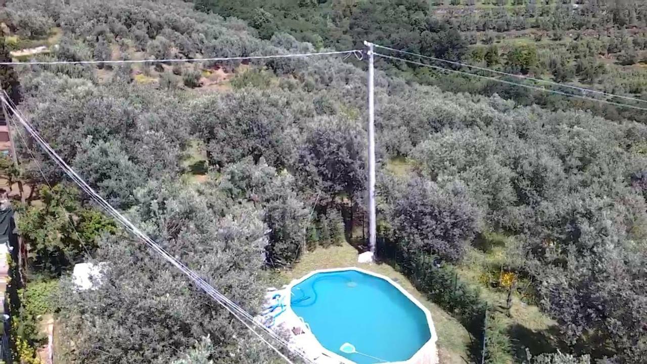 Il Borgo Dei Pini Apartamento Vinci Exterior foto