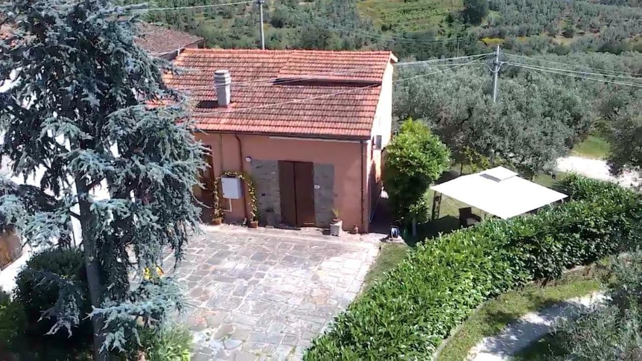 Il Borgo Dei Pini Apartamento Vinci Exterior foto